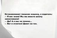 Свежие анекдоты и юмор за 19 Июня 2025