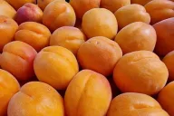 Абрикосы