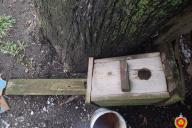 скворечник