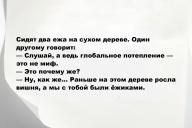 Свежие анекдоты и юмор за 9 Сентября 2025
