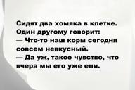 Свежие анекдоты и юмор за 12 Сентября 2025