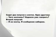 Свежие анекдоты и юмор за 18 Сентября 2025