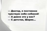 Свежие анекдоты и юмор за 1 Октября 2025