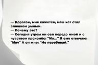 Свежие анекдоты и юмор за 8 Октября 2025