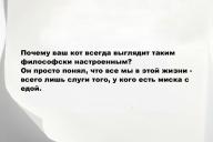 Свежие анекдоты и юмор за 15 Октября 2025