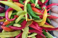 острый перец