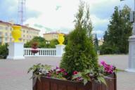 Озеленение