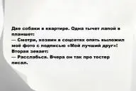 Свежие анекдоты и юмор за 9 Декабря 2025