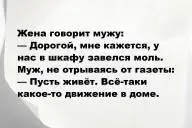 Свежие анекдоты и юмор за 14 Декабря 2025