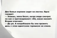 Свежие анекдоты и юмор за 24 Декабря 2025