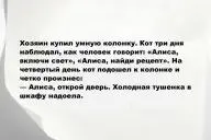 Свежие анекдоты и юмор за 1 Января 2026