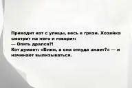 Свежие анекдоты и юмор за 30 Января 2026