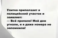 Свежие анекдоты и юмор за 1 Февраля 2026