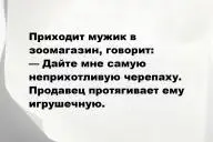 Свежие анекдоты и юмор за 5 Февраля 2026