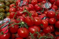 помидоры