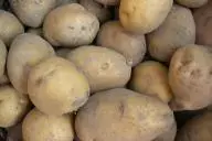 Картофель 