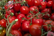 помидоры