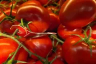 Помидоры