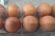 коричневые яйца