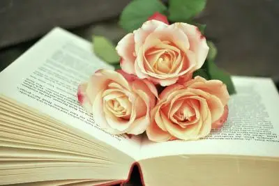 цветы на книге