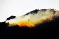 Пожар в лесу