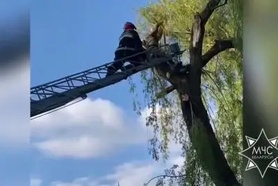 спасение человека