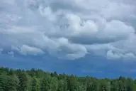 Лес