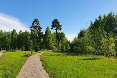 Природа в парке