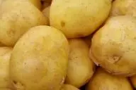 клубни картофеля