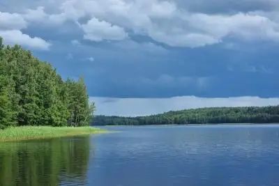 озеро у леса