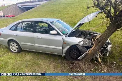 автомобиль и дерево