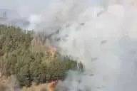 лесной пожар