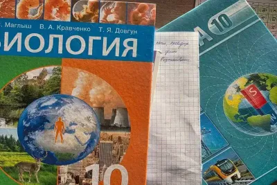 Школьные учебники