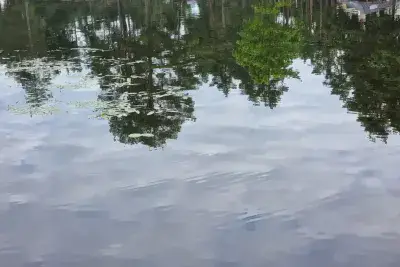 Отражение в водоеме