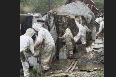 люди и пчелы