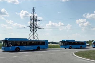 пассажирские автобусы