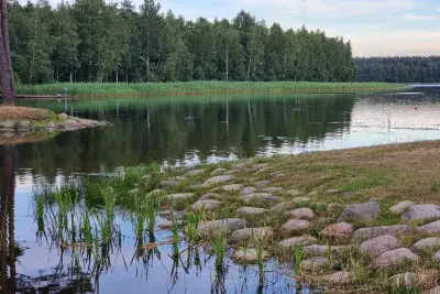 Берег водоема