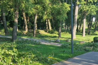 дорожка в парке