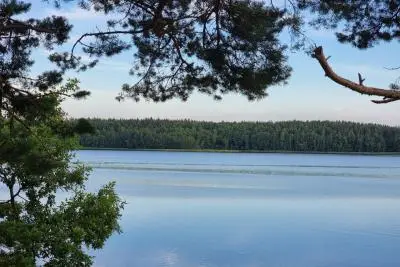 озеро у леса