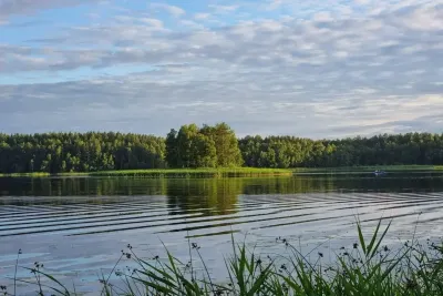 Природа летом