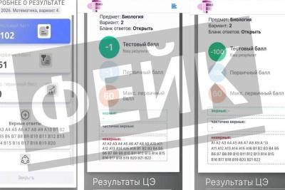 Фейковые результаты