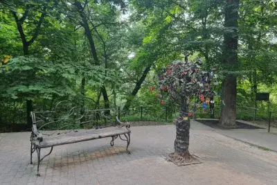 Скамейка и дерево