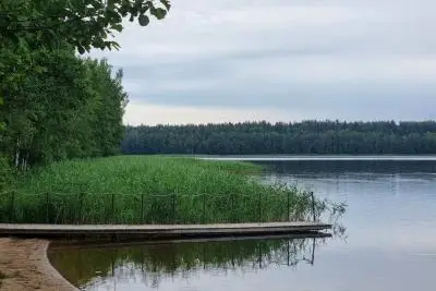 Берег водоема