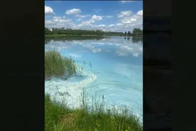 Цнянское водохранилище