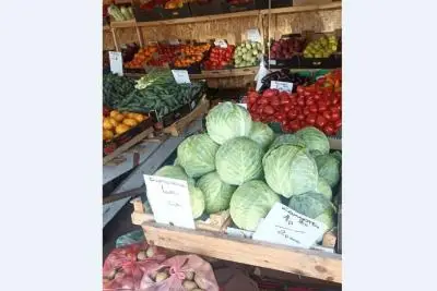 овощи на рынке