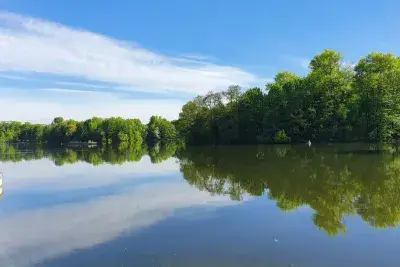 Деревья у воды