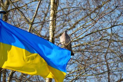 Флаг Украины