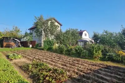 огород на даче