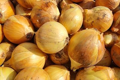 лук