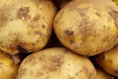 картофель